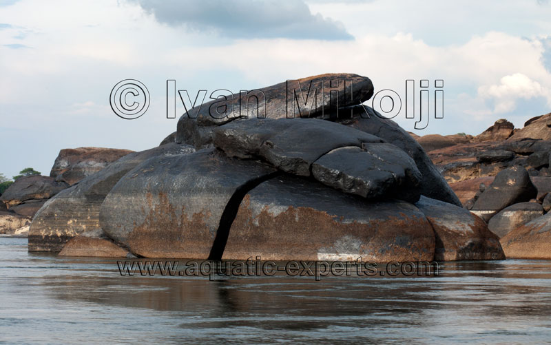 river rock varnish